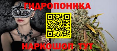 2c-b Новозыбков